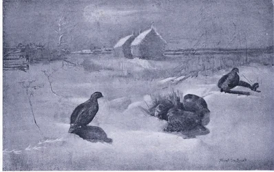 Rebhühner im Schnee